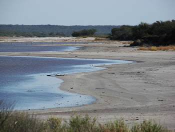 Laguna de Guatraché