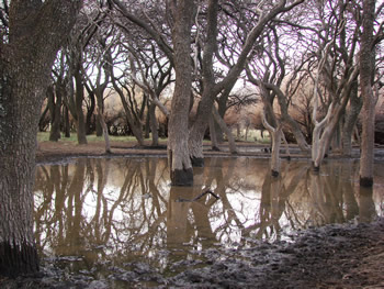 Parque Provincial Parque Luro